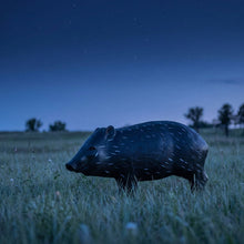 Load image into Gallery viewer, Real Wild 3D Competition Javelina Archery Target with EZ Pull Foam
