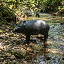 Load image into Gallery viewer, Real Wild 3D Competition Javelina Archery Target with EZ Pull Foam
