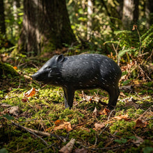 Load image into Gallery viewer, Real Wild 3D Competition Javelina Archery Target with EZ Pull Foam
