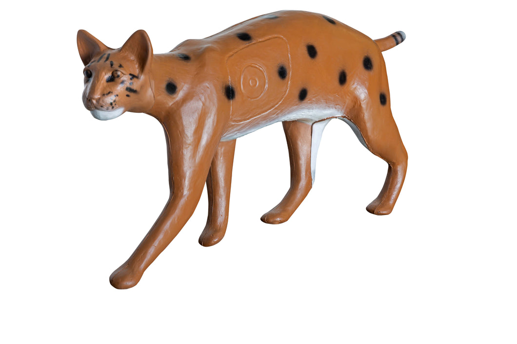 Real Wild 3D Competition Bobcat with EZ Pull Foam - - FREE SHIPPING