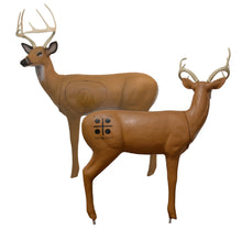 Load image into Gallery viewer, Pro Hunter Double Duty Buck Archery Target
