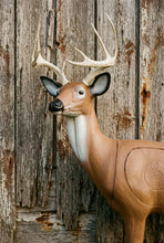 Load image into Gallery viewer, Real Wild 3D Alert Replaceable Vital Deer Buck Archery Target with EZ Pull Foam
