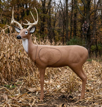 Load image into Gallery viewer, Pro Hunter Double Duty Buck Archery Target
