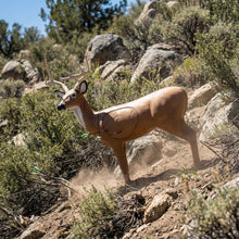 Load image into Gallery viewer, Real Wild 3D Alert Replaceable Vital Deer Buck Archery Target with EZ Pull Foam
