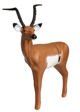 Load image into Gallery viewer, Real Wild 3D African Impala - - FREE SHIPPING
