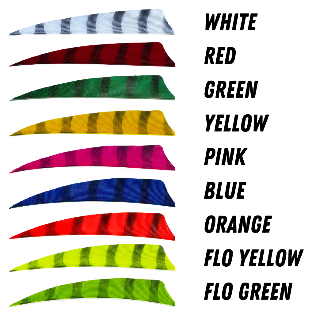 30 PCS FLÈCHE Fletching Aile Palette De Tir À L'arc La Plume EUR 7,98 30 PCS FLÈCHE Fletching Aile Palette De Tir À L'arc La Plume EUR 7,98