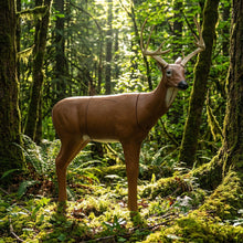 Load image into Gallery viewer, Real Wild 3D Medium Series Sneak Deer Archery Target with EZ Pull Foam
