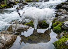 Load image into Gallery viewer, Real Wild 3D Mountain Goat Foam Archery Target
