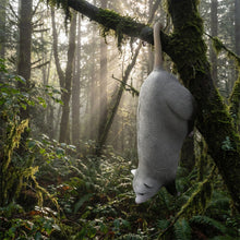 Load image into Gallery viewer, Real Wild 3D Hanging Opossum Archery Target
