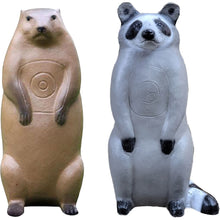 Load image into Gallery viewer, Pro Hunter Raccoon And Groundhog Combo Pack Archery Targets
