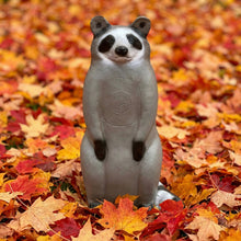 Load image into Gallery viewer, Real Wild 3D Competition Raccoon Archery Target with EZ Pull Foam
