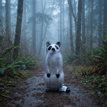 Load image into Gallery viewer, Pro Hunter EZ Pull Raccoon Archery Target
