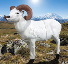 Load image into Gallery viewer, Real Wild 3D Dall Sheep
