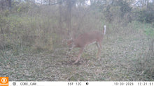 Load image into Gallery viewer, David's Select System | Early Season - Late Season
