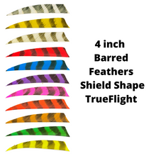 Load image into Gallery viewer, 4 inch Barred Feathers by Trueflight - Shield Shape
