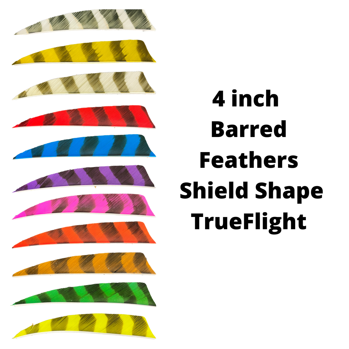 Trueflight - Shield Cut - 4" - Barred Feathers – Kustom King ...