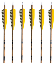 Load image into Gallery viewer, Gold Tip Traditional Carbon Arrows -  6 Pack - Yellow
