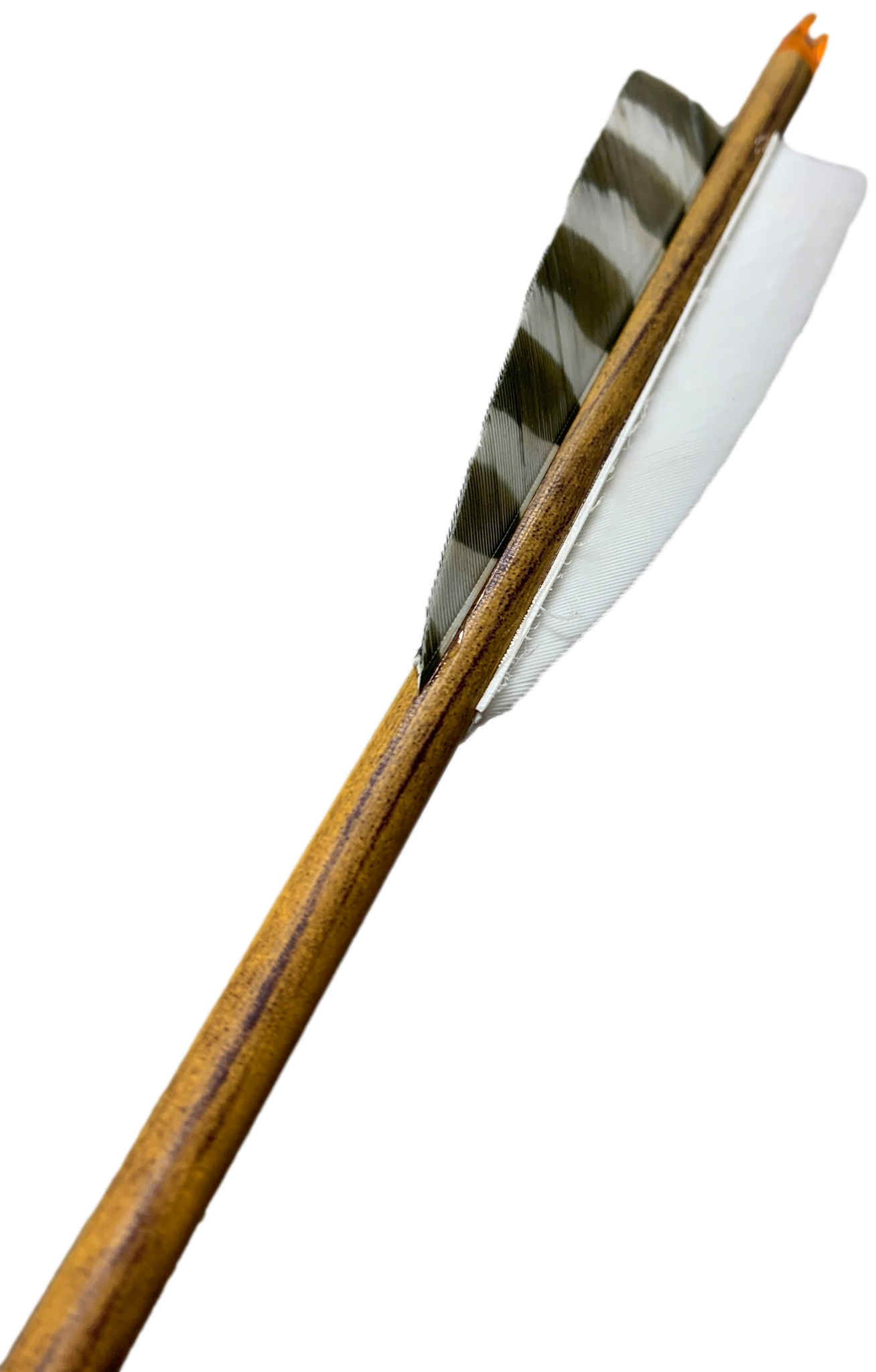 Traditional wood arrows 10 pieces with wood nock - Classic Bow